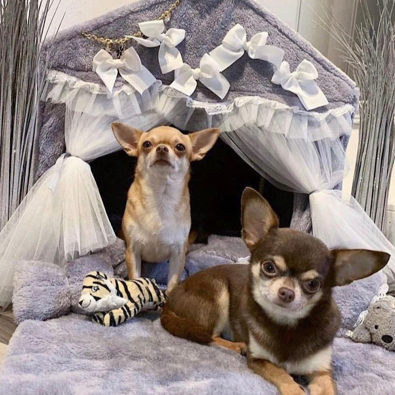 Chihuahua princess clearance bed