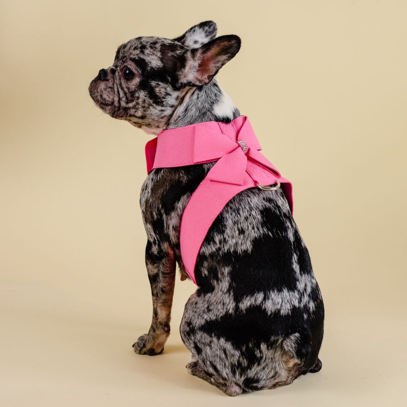 Furbaby Couture Pink Rhinestone Designer Harness and Leash