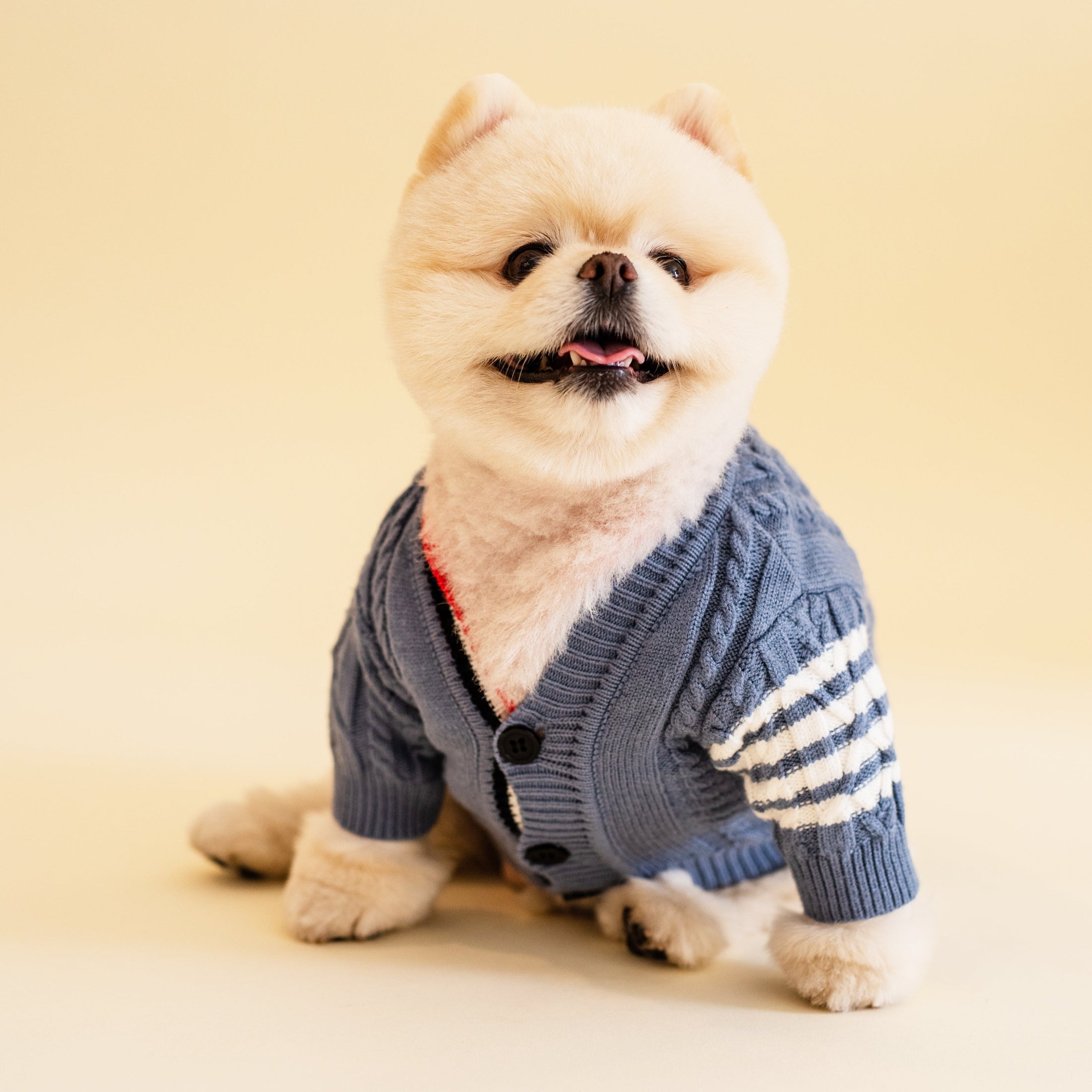 Winston Cardigan