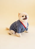 Load image into Gallery viewer, Winston Cardigan
