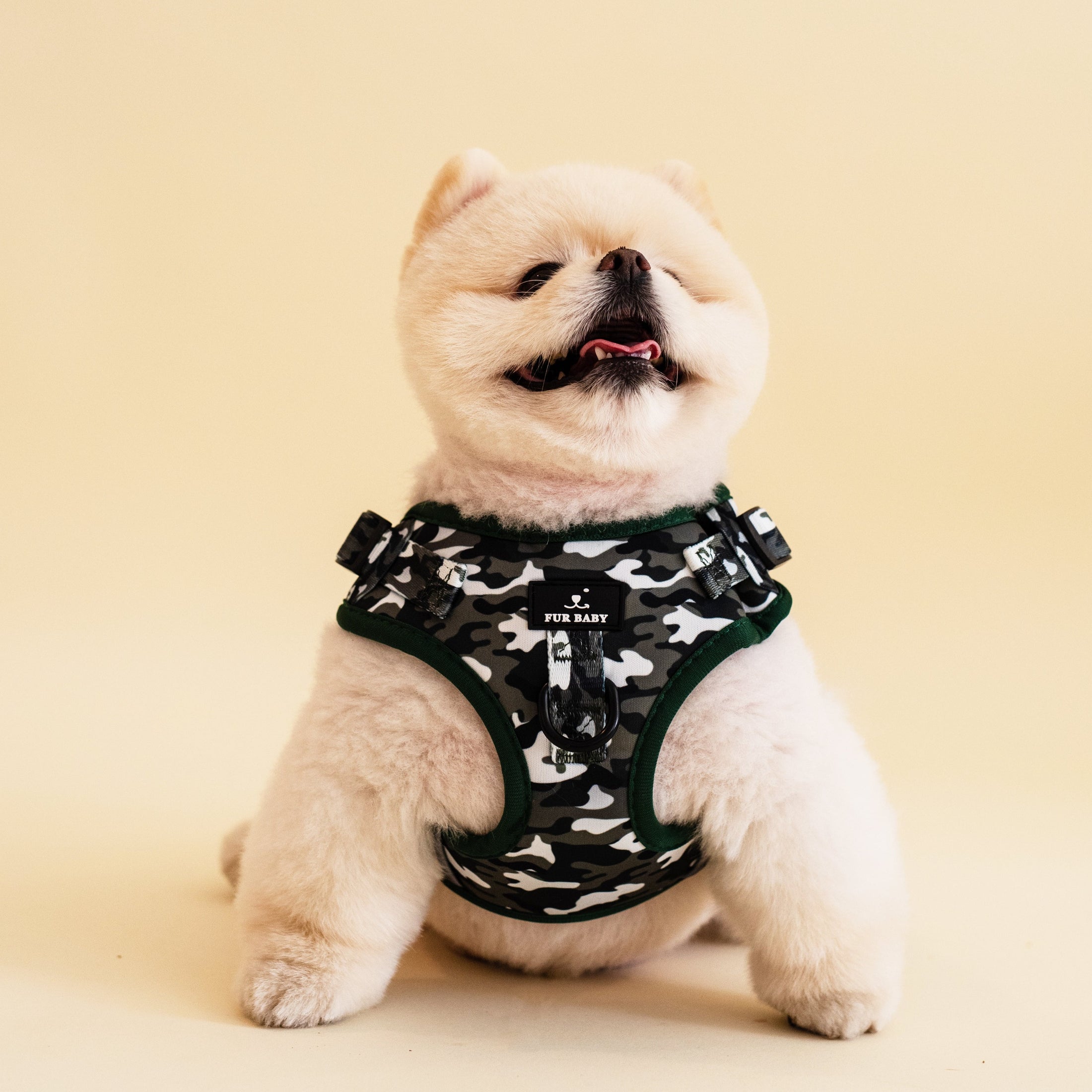 Furbaby Camo Harness