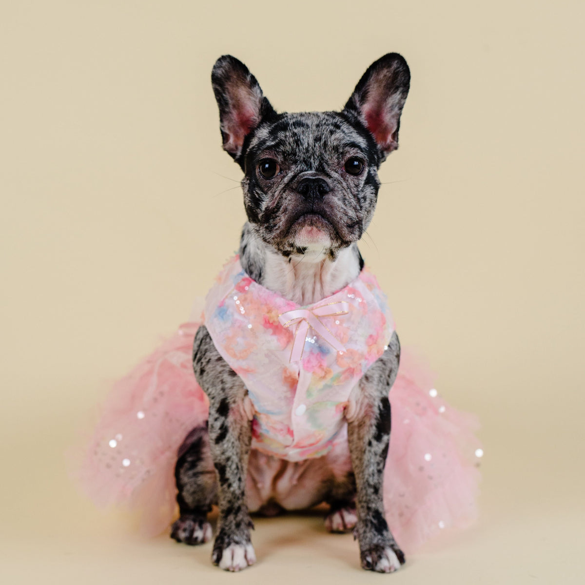 Mochi Dress