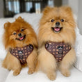 Load image into Gallery viewer, Pet-Harnesses-and-Leashes
