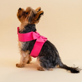 Load image into Gallery viewer, Rhinestone Harness and Leash

