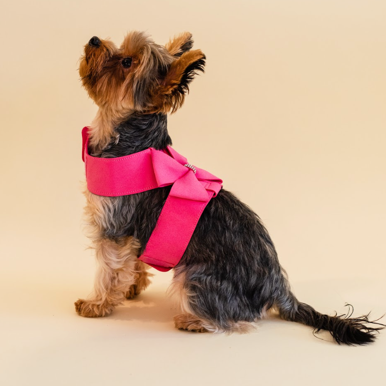Rhinestone Harness and Leash
