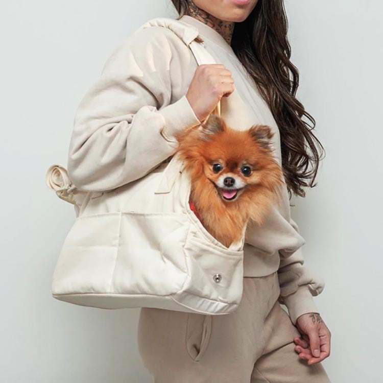 Luna Carrier