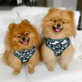 Load image into Gallery viewer, camo-harness-dog-models
