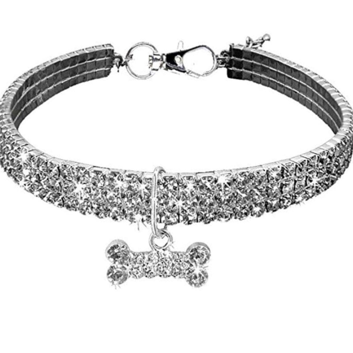 Disney Beverly Hills Chihuahua 2 Movie DVD Upcycled Spiral Bound Notebook  Notepad Journal Vintage Nostalgia Unique Gift Idea Retro Dogs - Etsy, image size:1200x1200