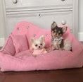 Load image into Gallery viewer, diamond-bed-luxury-dog-sofa-with-dog-model
