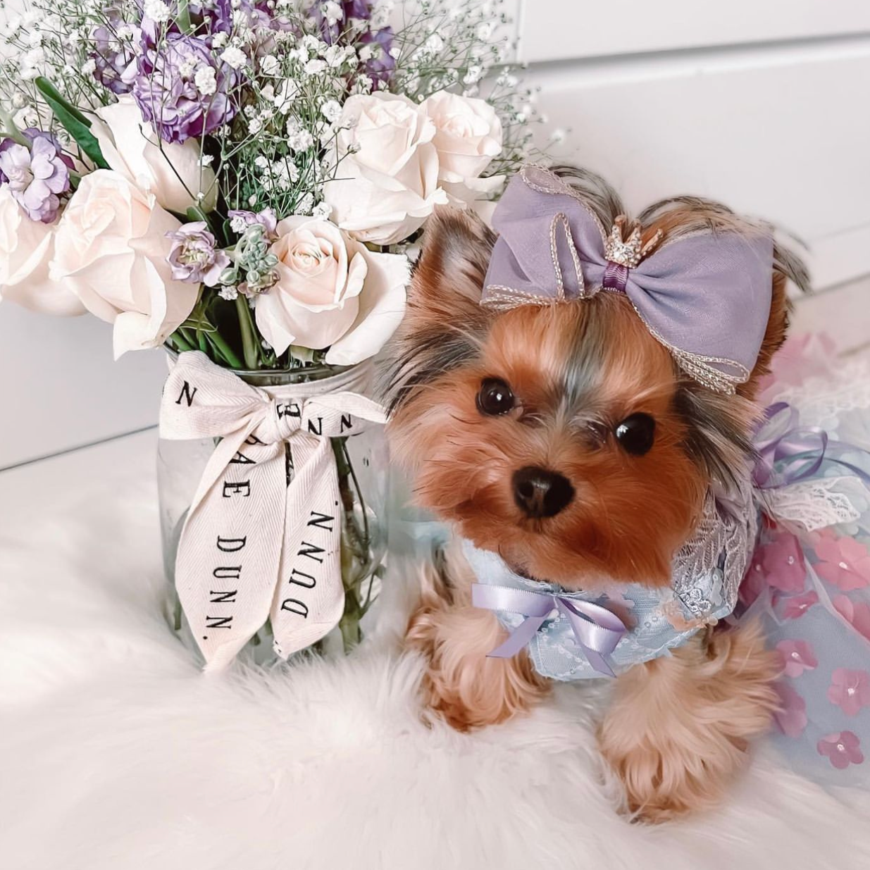 Duchess Bow