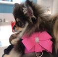 Load image into Gallery viewer, Rhinestone Harness & Leash
