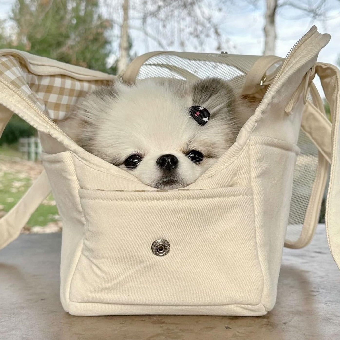 Luna Carrier