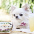 Load image into Gallery viewer, Coco Collar Pink
