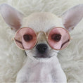 Load image into Gallery viewer, Chica’s sunnies - Furbaby Couture
