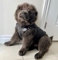 Load image into Gallery viewer, Dog Face Vest
