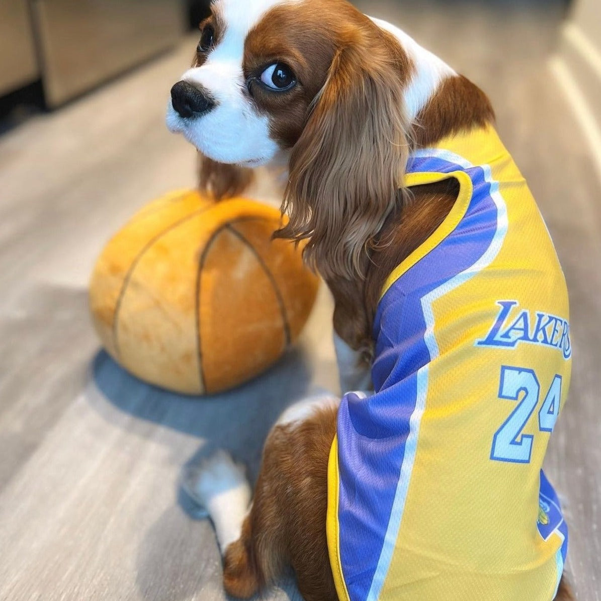 LA Jersey