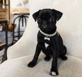 Load image into Gallery viewer, CHLOE
