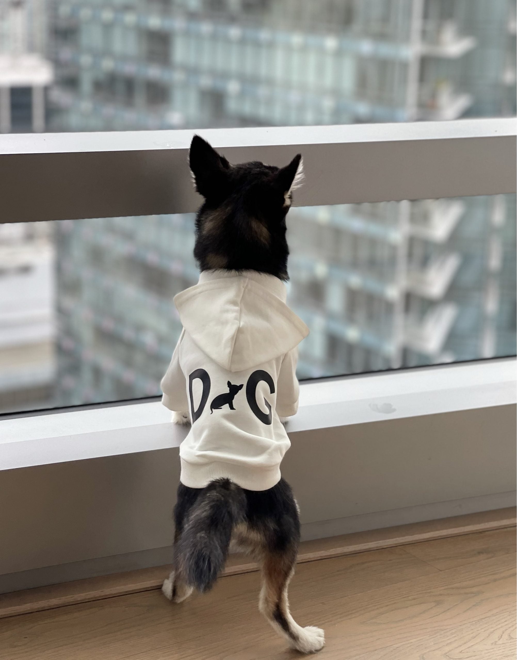 DoG Hoodie